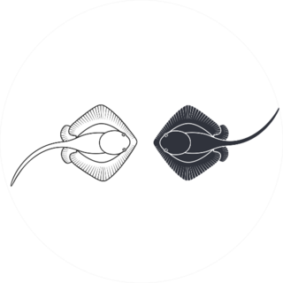 Stingray Logo Two Stingrays Sticker