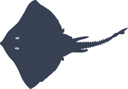 Stingray Manta Ray Swimming Top View Sticker