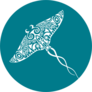 Stingray Manta Tattoo Sketch Turquoise Background Sticker