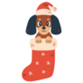 Stocking Dachshund Sticker