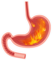Stomach on Fire Sticker