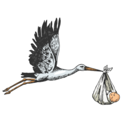 Stork Color Sketch Sticker