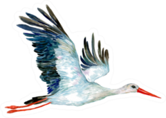 Stork. Illustration Of Watercolor Crane Bird In Flight Sticker