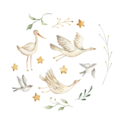 Stork Newborn Baby Watercolor Sticker