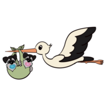 Stork & Schnauzer Sticker