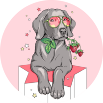 Strab Weimaraner Sticker