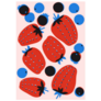 Strawberry Blueberry Farm Art Modern Sticker
