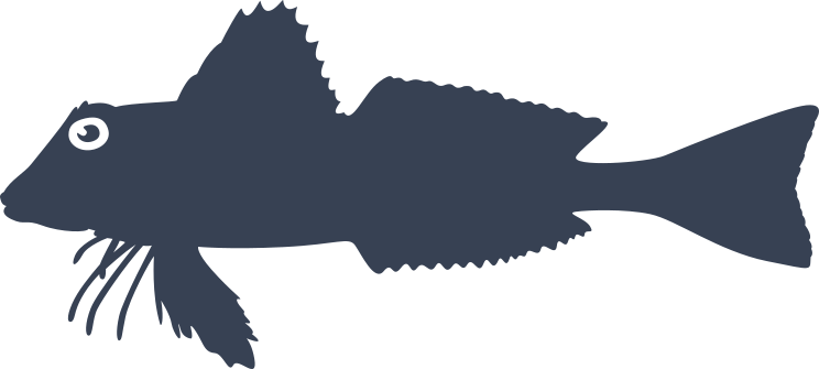 Streaked Gurnard Fish Sticker