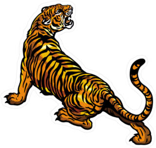 Stretching Tiger Sticker