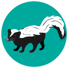 Striped Skunk Standing On A Green Circle Sticker