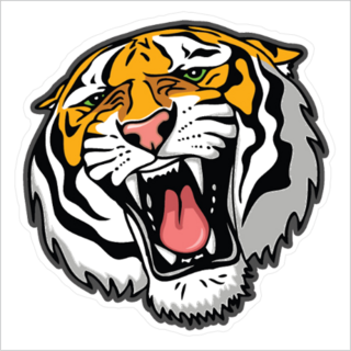 Striped Tiger Head Sticker