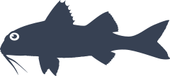 Stripped Red Mullet Fish Sticker
