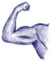 Strong Biceps. Doodle Style Sticker