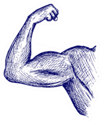 Strong Biceps. Doodle Style Sticker