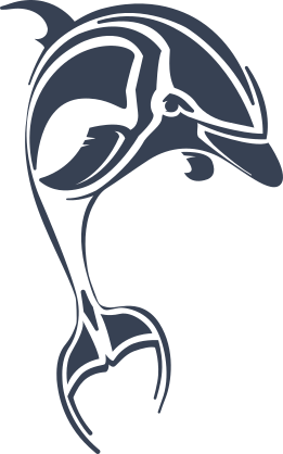 Stunning Detailed Dolphin Sticker