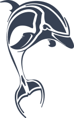 Stunning Detailed Dolphin Sticker