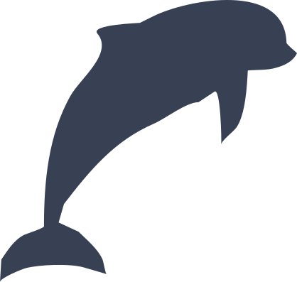 Stunning Dolphin Sticker