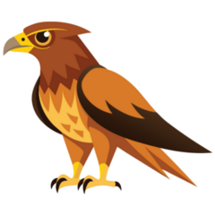 Stunning Hawk Sticker
