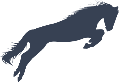 Stunning Horse Jumping Sticker