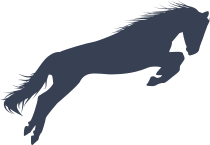 Stunning Horse Jumping Sticker