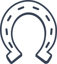 Sturdy Horseshoe Sticker