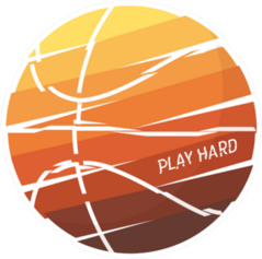 Styled Basketball Colorful Illustration Play Hard Sticker