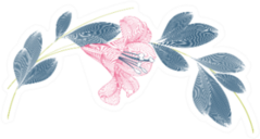 Stylish Cute Spring Background With Lily Flowers Sticker