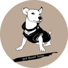 Stylish Jack Russell Sticker