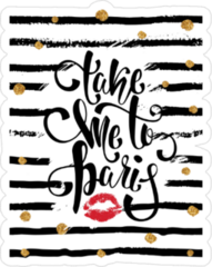 Stylish Take Me To Paris Sticker