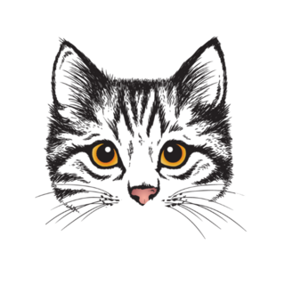 Stylized Kittens Face Illustration Sticker