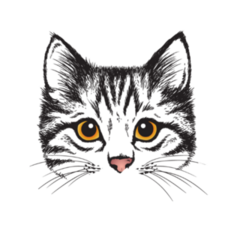 Stylized Kittens Face Illustration Sticker