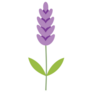 Stylized Lavender Sticker