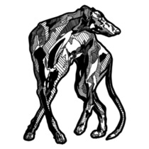 Stylized Whippet Sticker