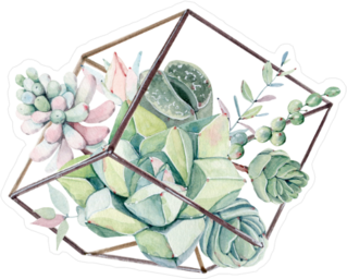Succulent Bouquet in Glass Box Sticker
