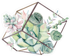 Succulent Bouquet in Glass Box Sticker
