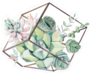 Succulent Bouquet in Glass Box Sticker