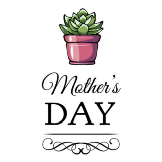 Succulent Flower For Mothers Day Card Sticker