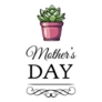 Succulent Flower For Mothers Day Card Sticker