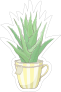 Succulent in Yellow Striped Mug Sticker