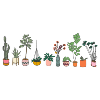 Succulents And House Plants Hand Drawn Sticker