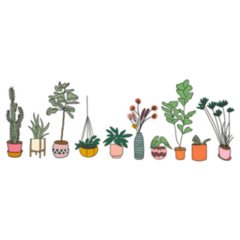 Succulents And House Plants Hand Drawn Sticker