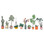 Succulents And House Plants Hand Drawn Sticker
