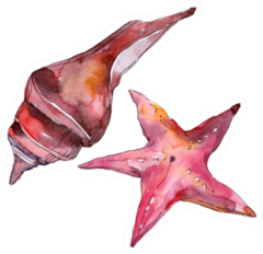 Summer Beach Seashell and Starfish Watercolor Sticker