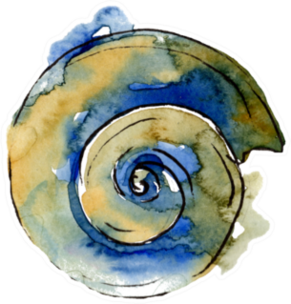 Summer Beach Seashell In Blue Watercolor Sticker