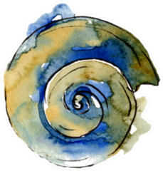 Summer Beach Seashell In Blue Watercolor Sticker