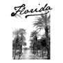 Summer Florida City Black And White Sticker