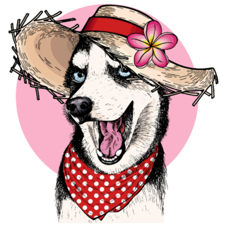 Summer Hat Husky Sticker
