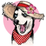 Summer Hat Husky Sticker