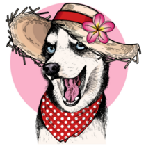Summer Hat Husky Sticker