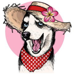 Summer Hat Husky Sticker